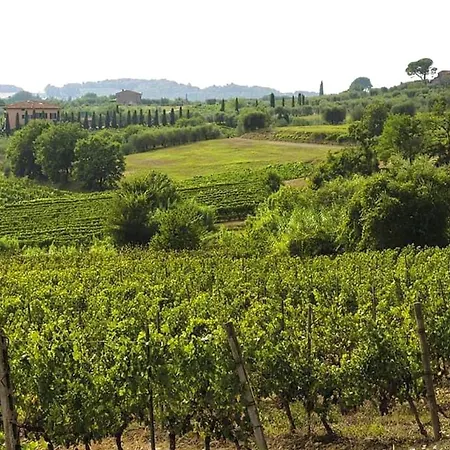 Vineyard - In A Tuscan Farm With Wi-fi