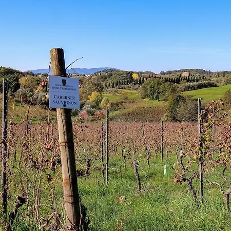 Apartament Vineyard - In A Tuscan Farm With Wi-fi *