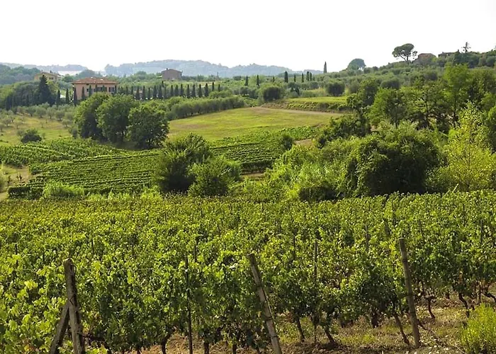 Vineyard - In A Tuscan Farm With Wi-fi