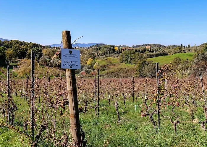 アパート Vineyard - In A Tuscan Farm With Wi-fi *